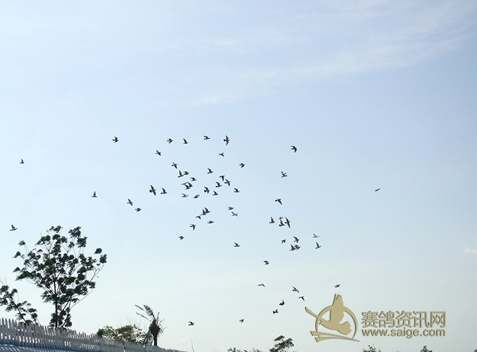 我想在海南开家不锈钢门的折板加工,折弯机和