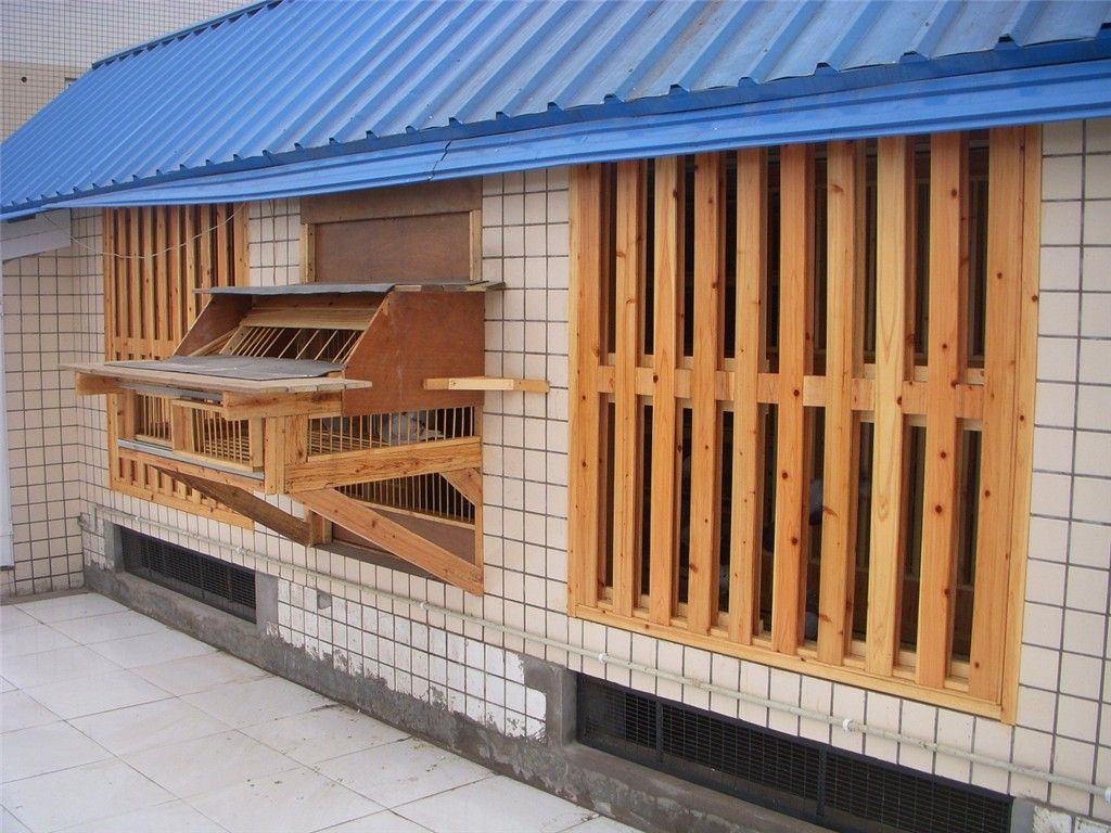 赛鸽棚前面_相册_四川宜宾鹍鹏赛鸽俱乐部 - 赛鸽资讯