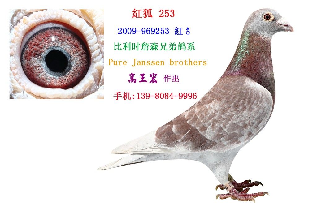 ʱղɭֵܺ