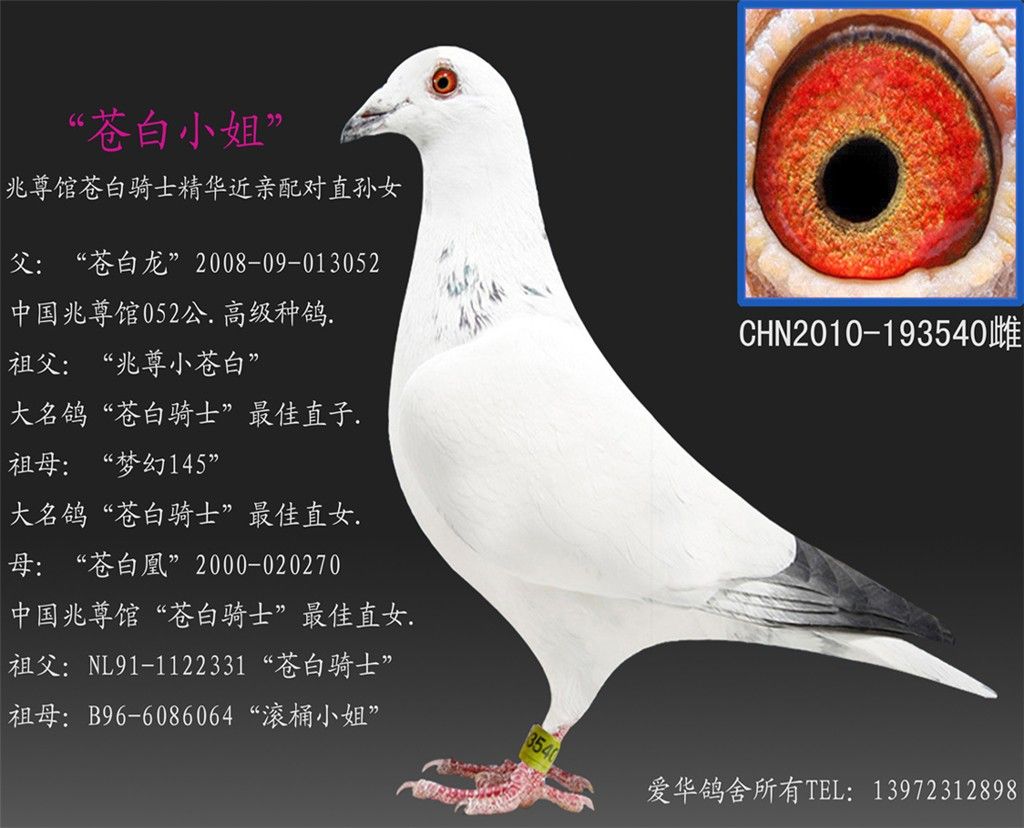 91DFB34F-4E81-47EF-8A4B-D6337AAF3431.JPG