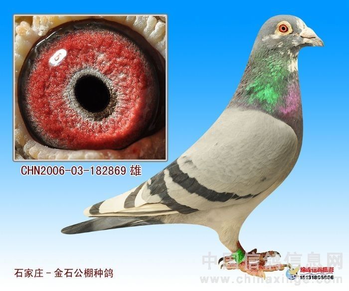 ӱʯׯʯ빫