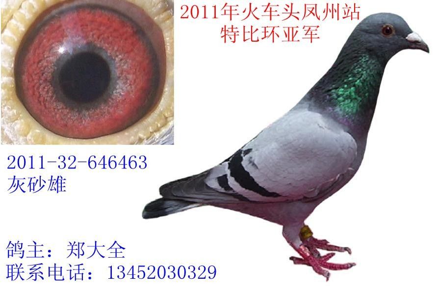 郑大全2011年火车头凤县特比亚军