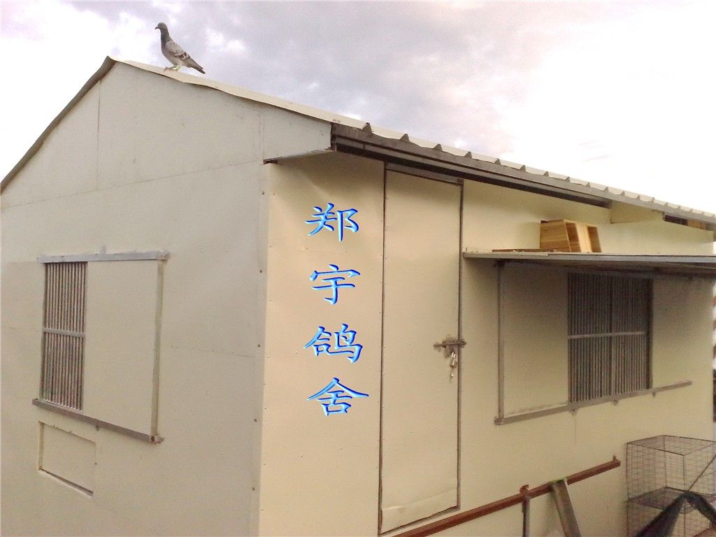 郑宇鸽舍_相册_郑宇鸽舍 圣赐家族