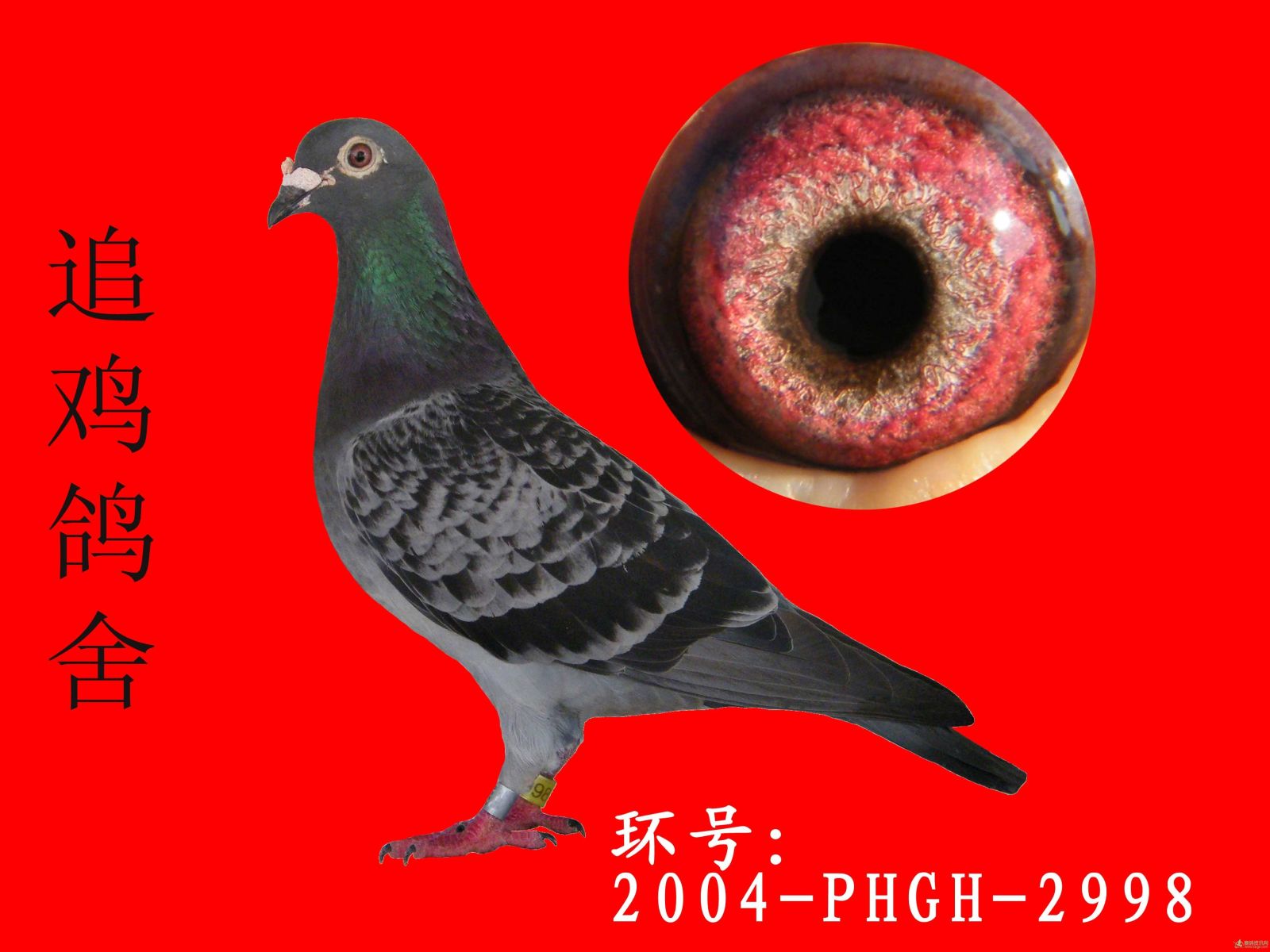 AC89410A-EC99-4414-9C75-C91500EEB97F.JPG