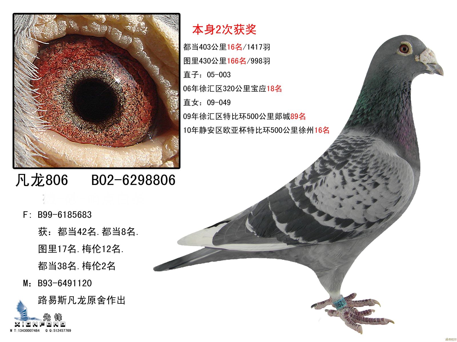 上海蓝天战鸽种赛鸽舍