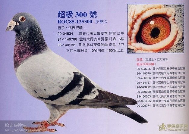 路易士:超级300号