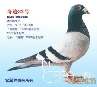 林波尔:奇迹32号