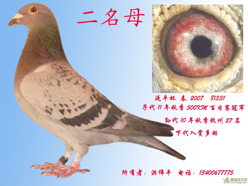 2名母                  暂无描述