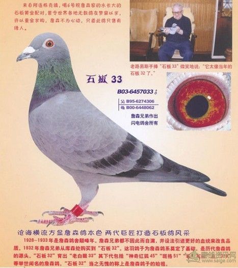 詹森:石板33