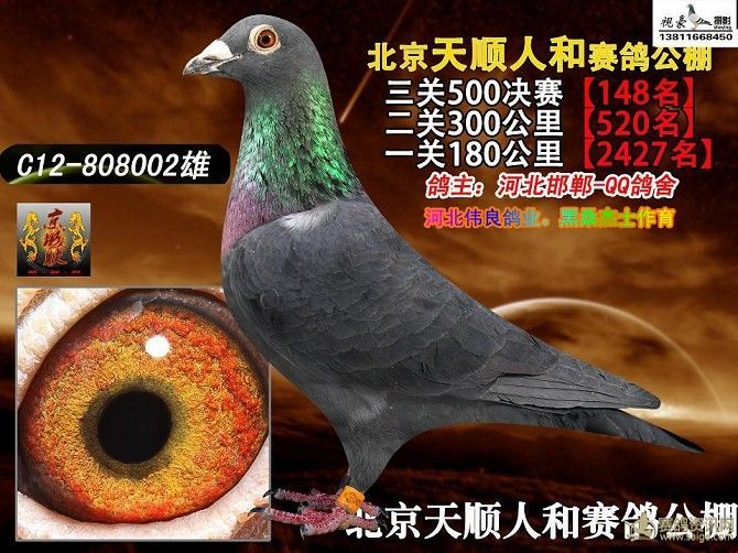 黑桑杰士                  暂无描述
