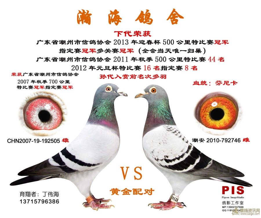 黄金配对xr1                  暂无描述