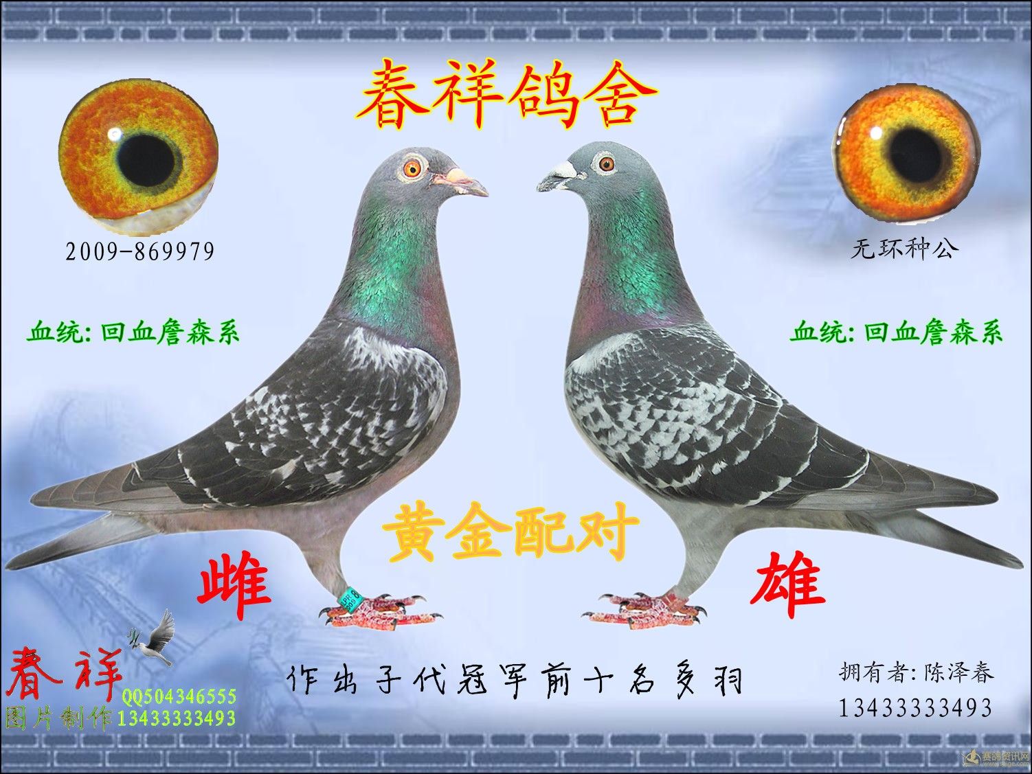 黄金配对 詹森系