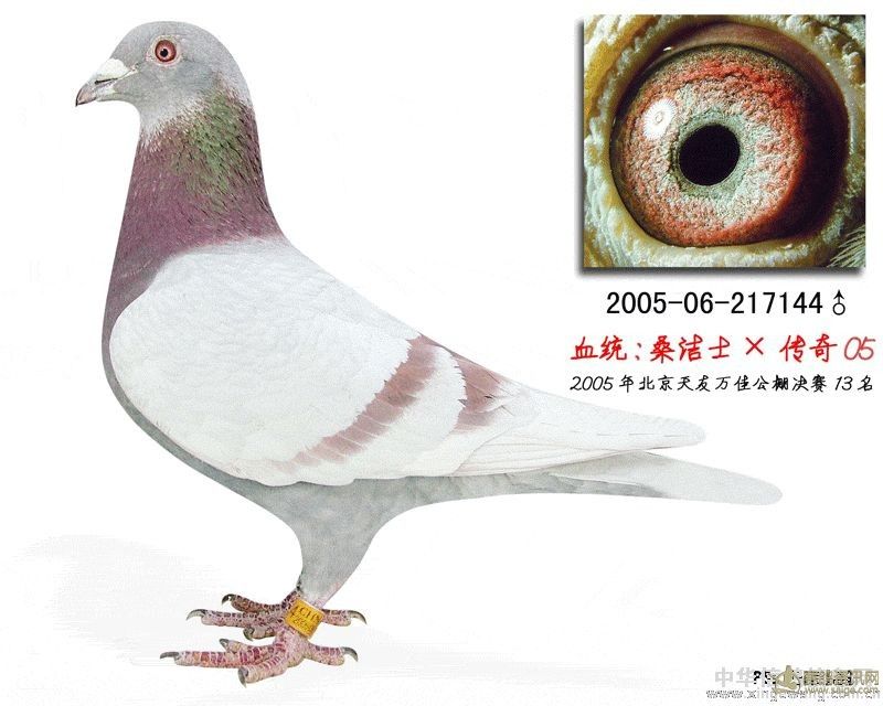 37BC9E46-DECB-471C-9A7D-85278E081CF5.JPG