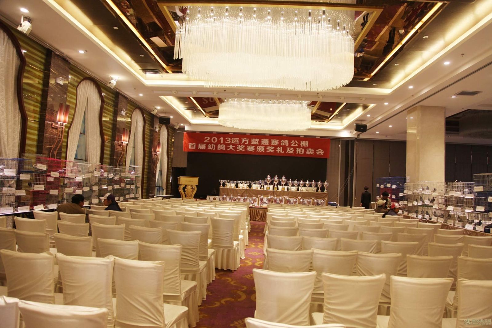 2013年秋季新疆阜康远方蓝通公棚拍卖会现场花絮欣赏_相册_云映像摄影工作室