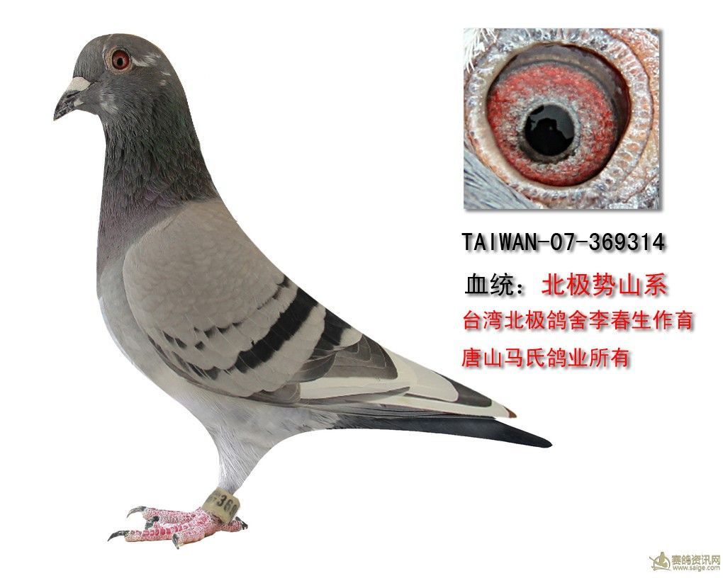 北极势山                  暂无描述
