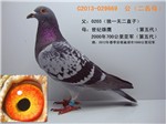 相册- 二名母