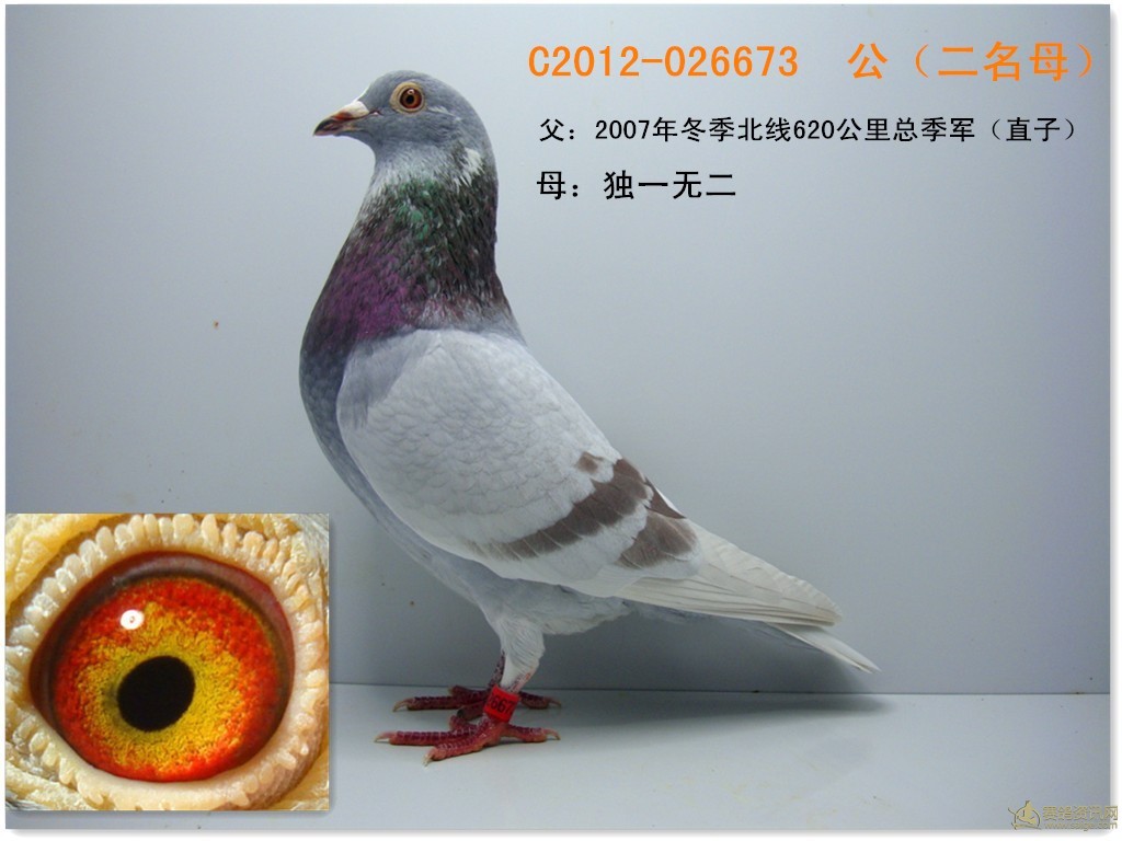 二名母