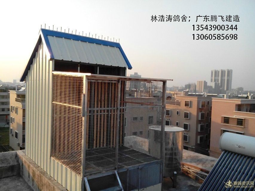 揭阳(林浩涛鸽舍):广东腾飞建造