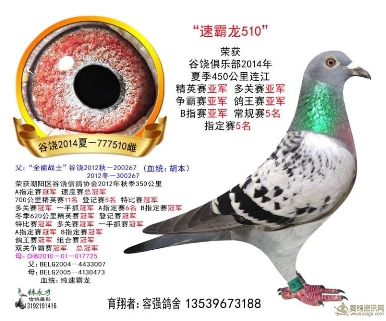 杨人渠兄弟鸽舍