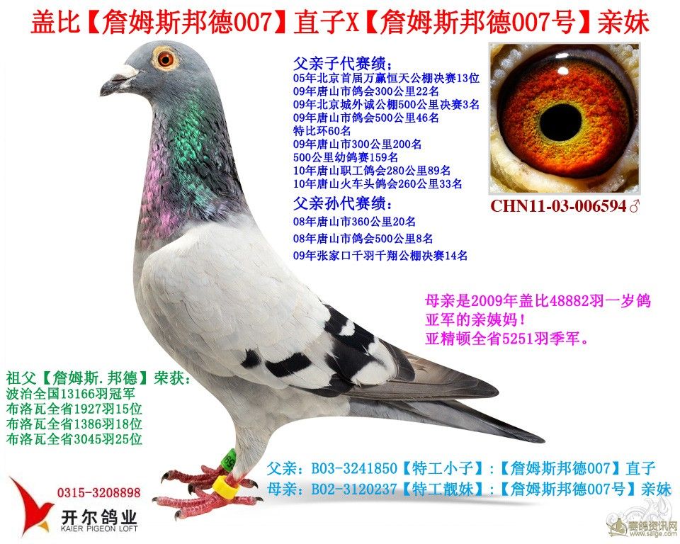 相册盖比詹姆斯邦德007