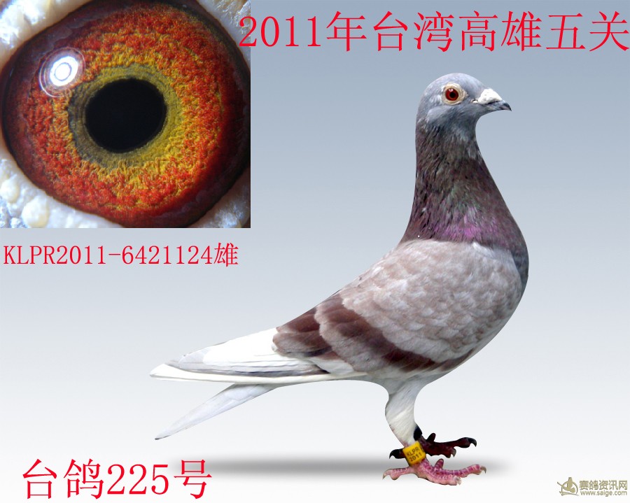 2011年klpr6421124粉黄雄                 暂无描述