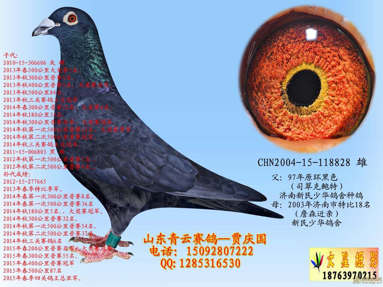 4498692153535522710                  司翠克鲍特