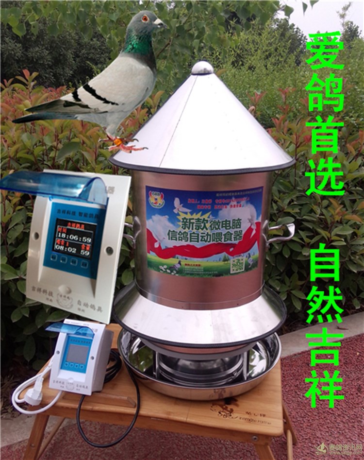 信鸽自动放飞门自动喂食器