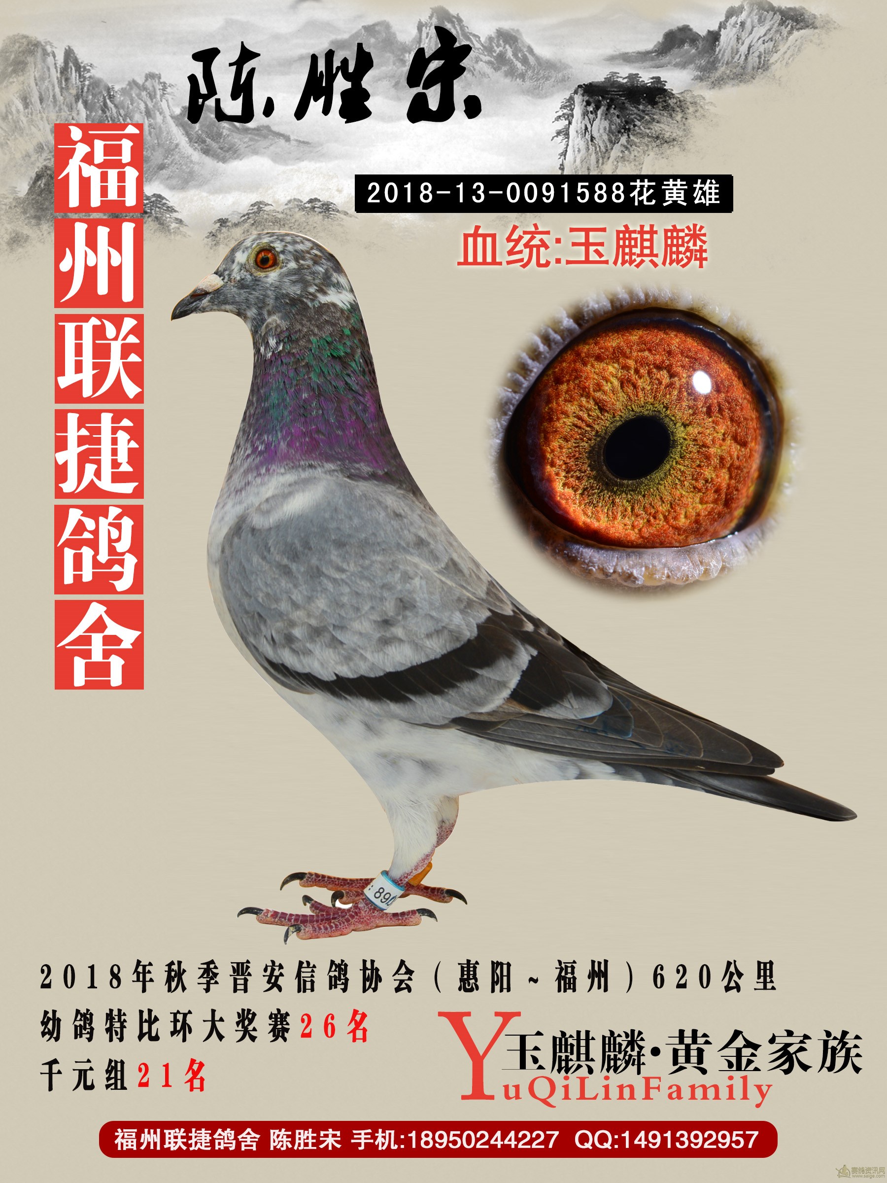 福州联捷鸽舍