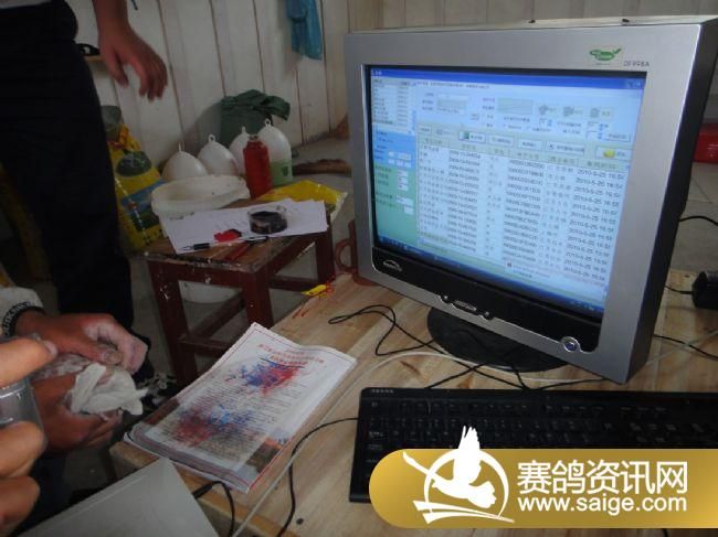 ����ɨ��