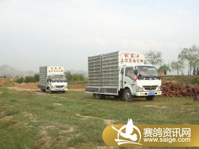 5����ѵ��