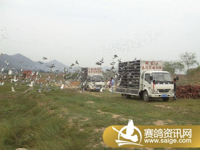 5����ѵ��