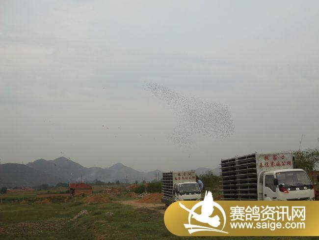 5����ѵ��