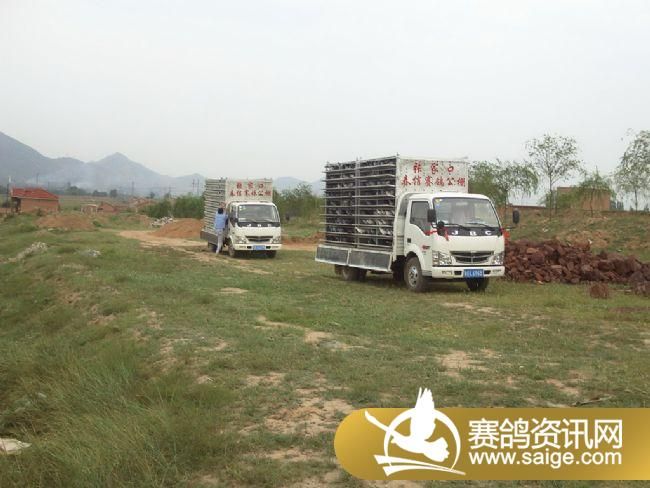 5����ѵ��