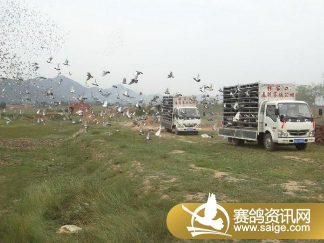 5����ѵ��