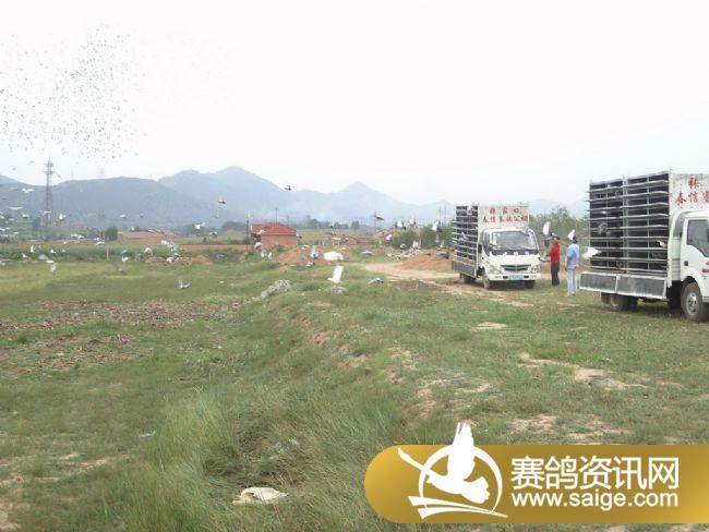 5����ѵ��