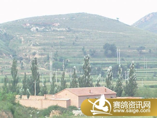 5����ѵ��