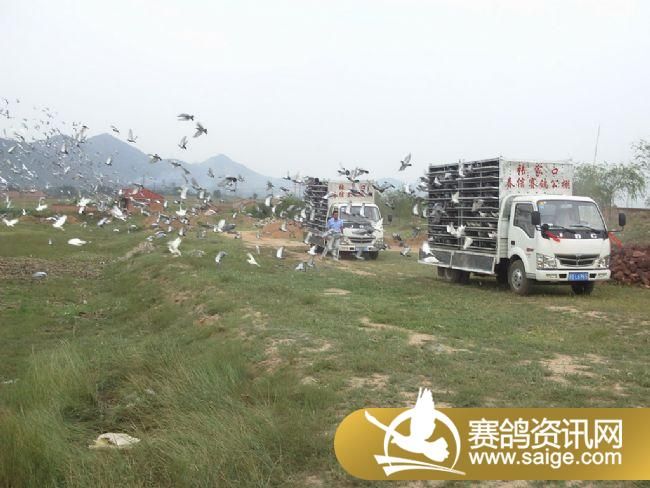 5����ѵ��