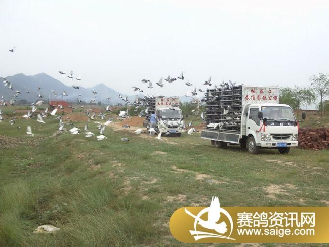 5����ѵ��