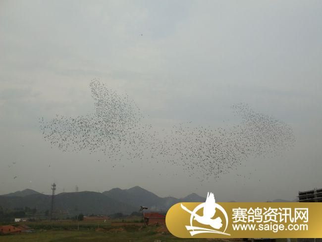 5����ѵ��