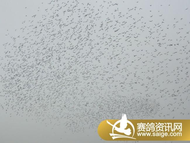 7����ѵ��