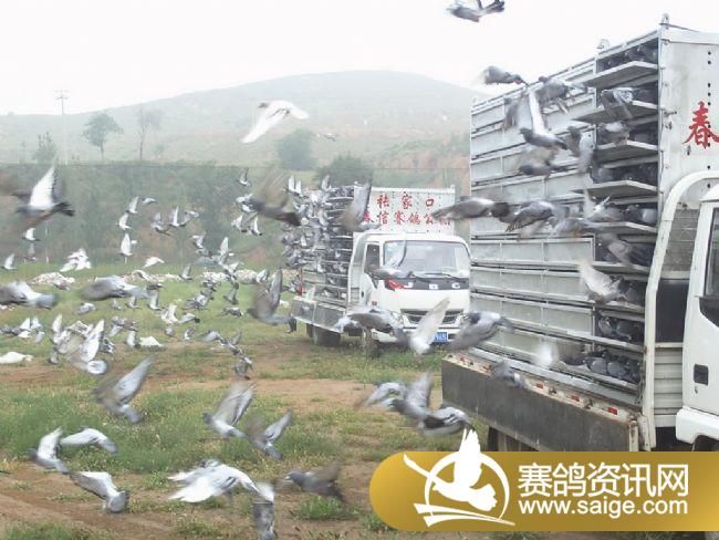 7����ѵ��