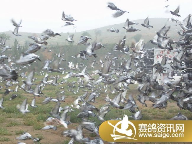 7����ѵ��