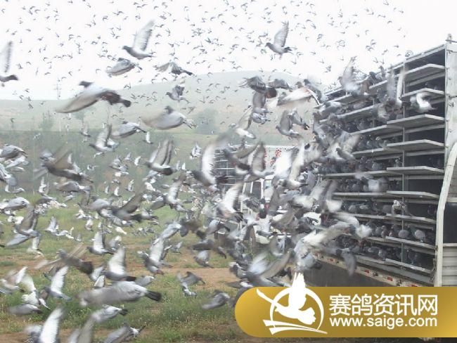 7����ѵ��