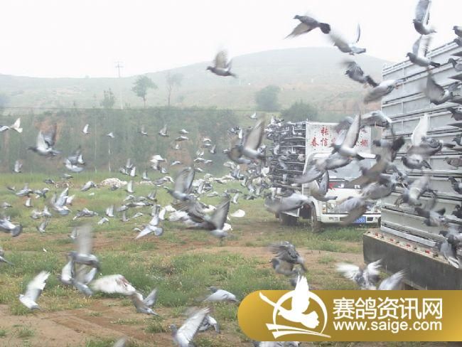 7����ѵ��