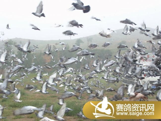 7����ѵ��