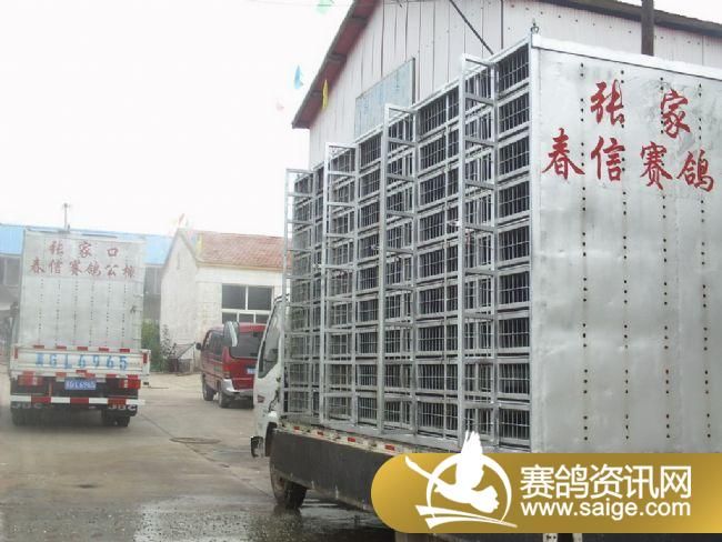 7����ѵ��