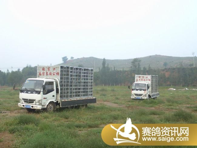 7����ѵ��