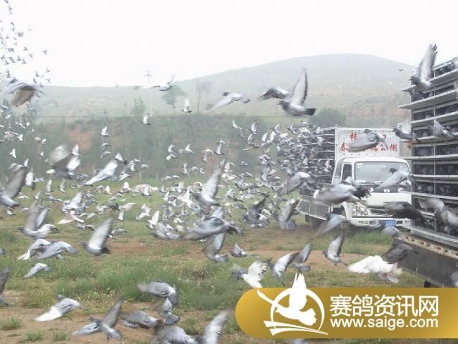 7����ѵ��