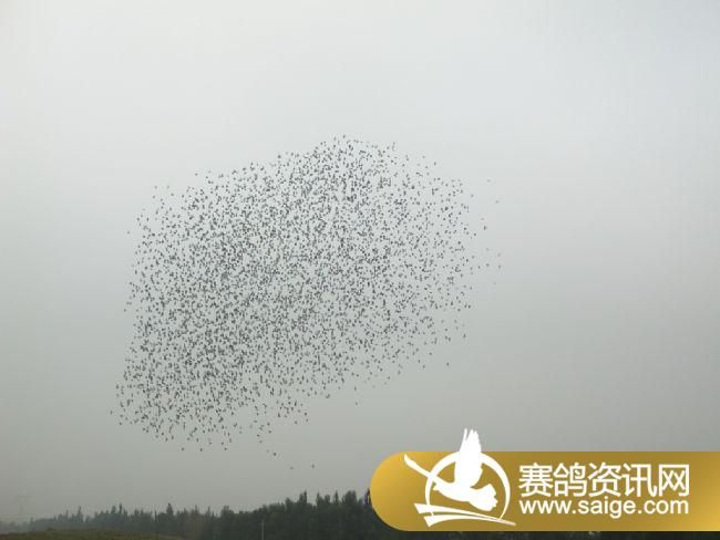 10����ѵ��