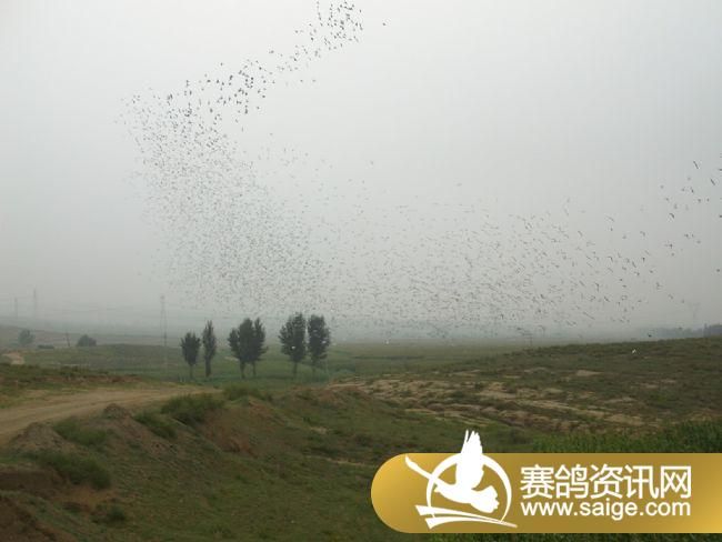 10����ѵ��